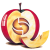 SoftIT